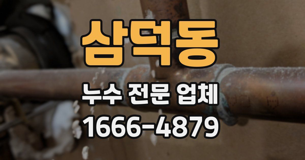 삼덕동 누수 전문 업체