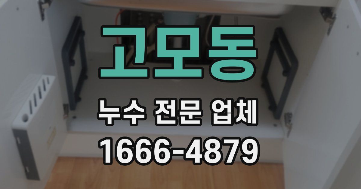 고모동 누수 전문 업체