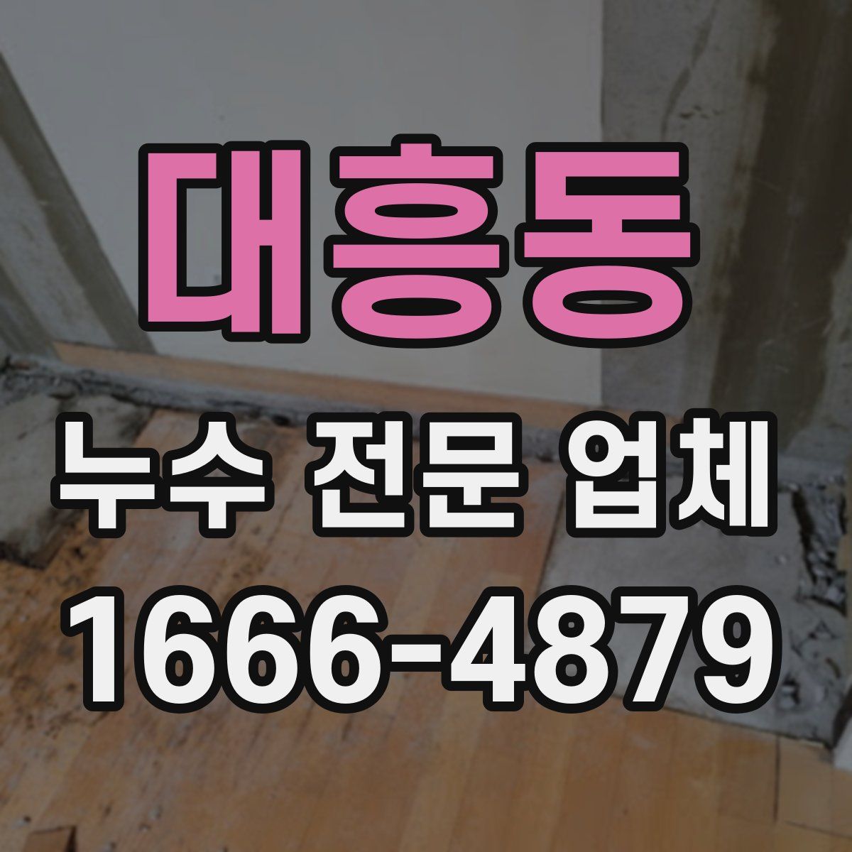 대흥동 누수 전문 업체