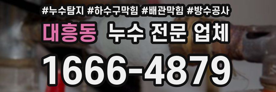 대흥동 누수 전문 업체