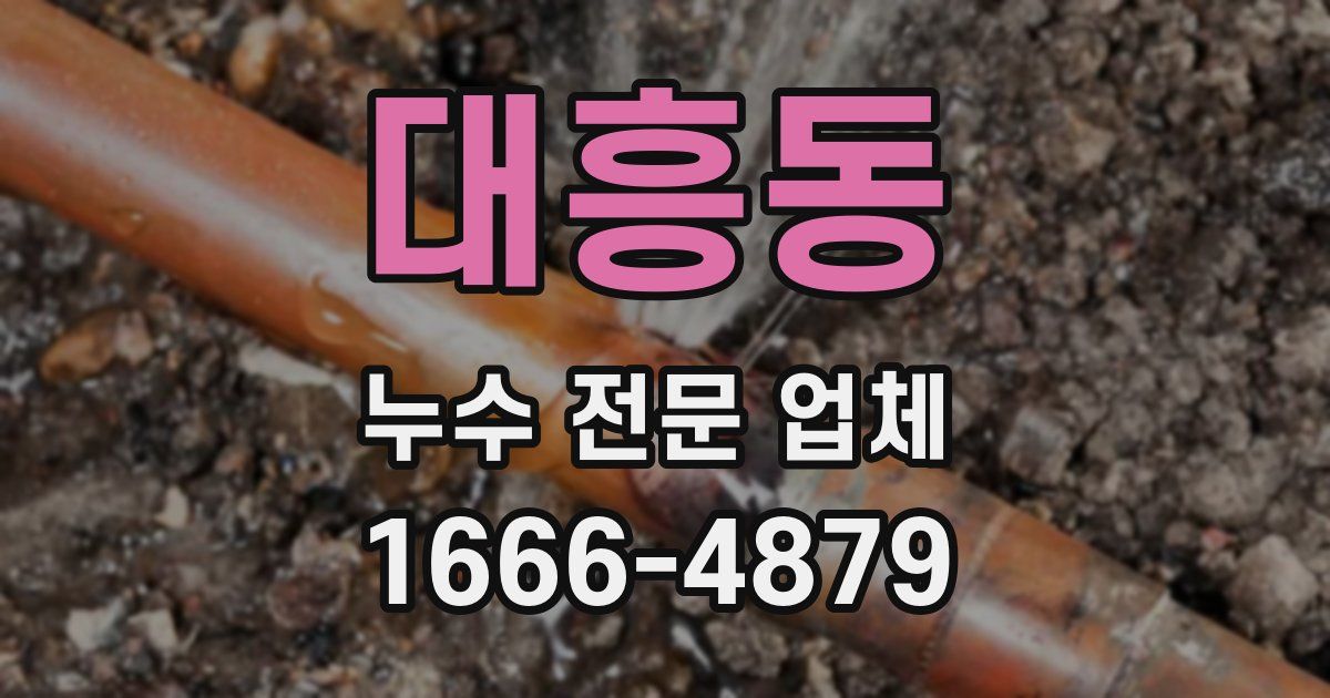 대흥동 누수 전문 업체