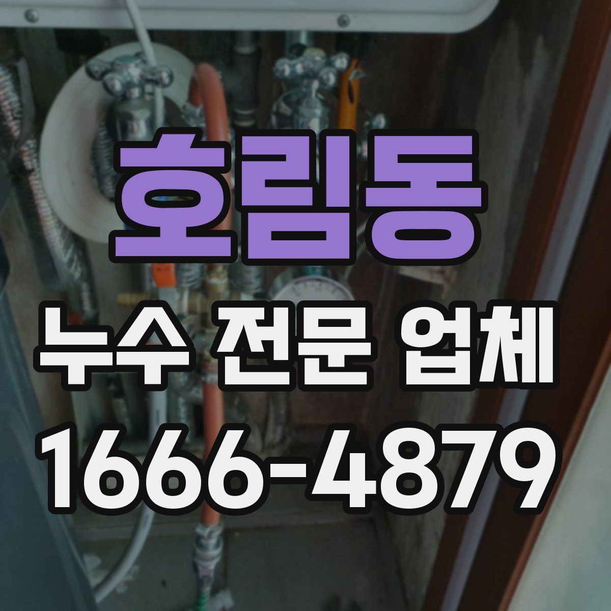 호림동 누수 전문 업체