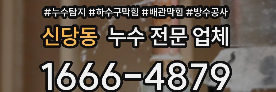 신당동 누수 전문 업체