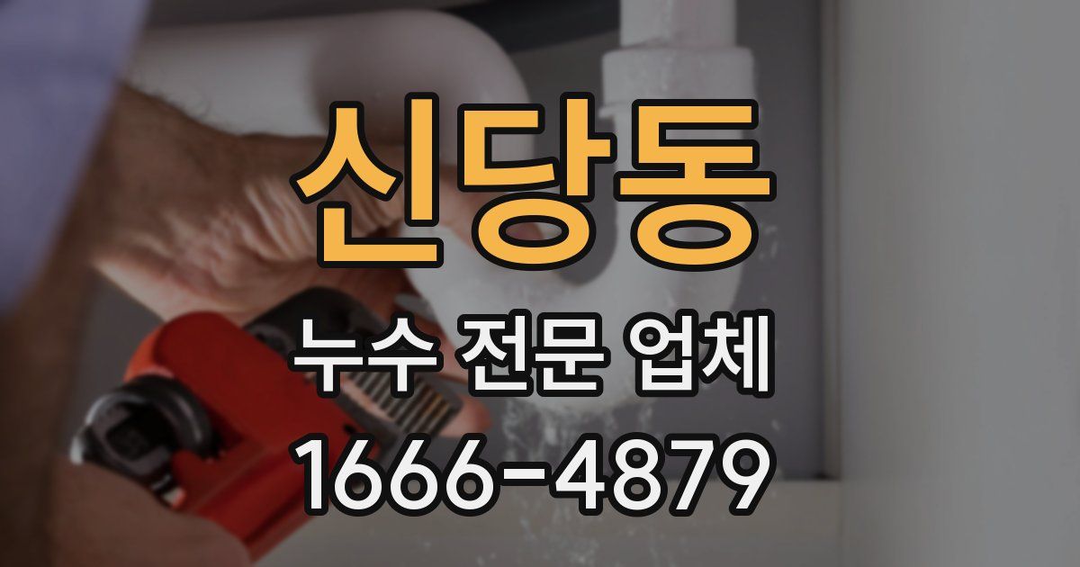 신당동 누수 전문 업체