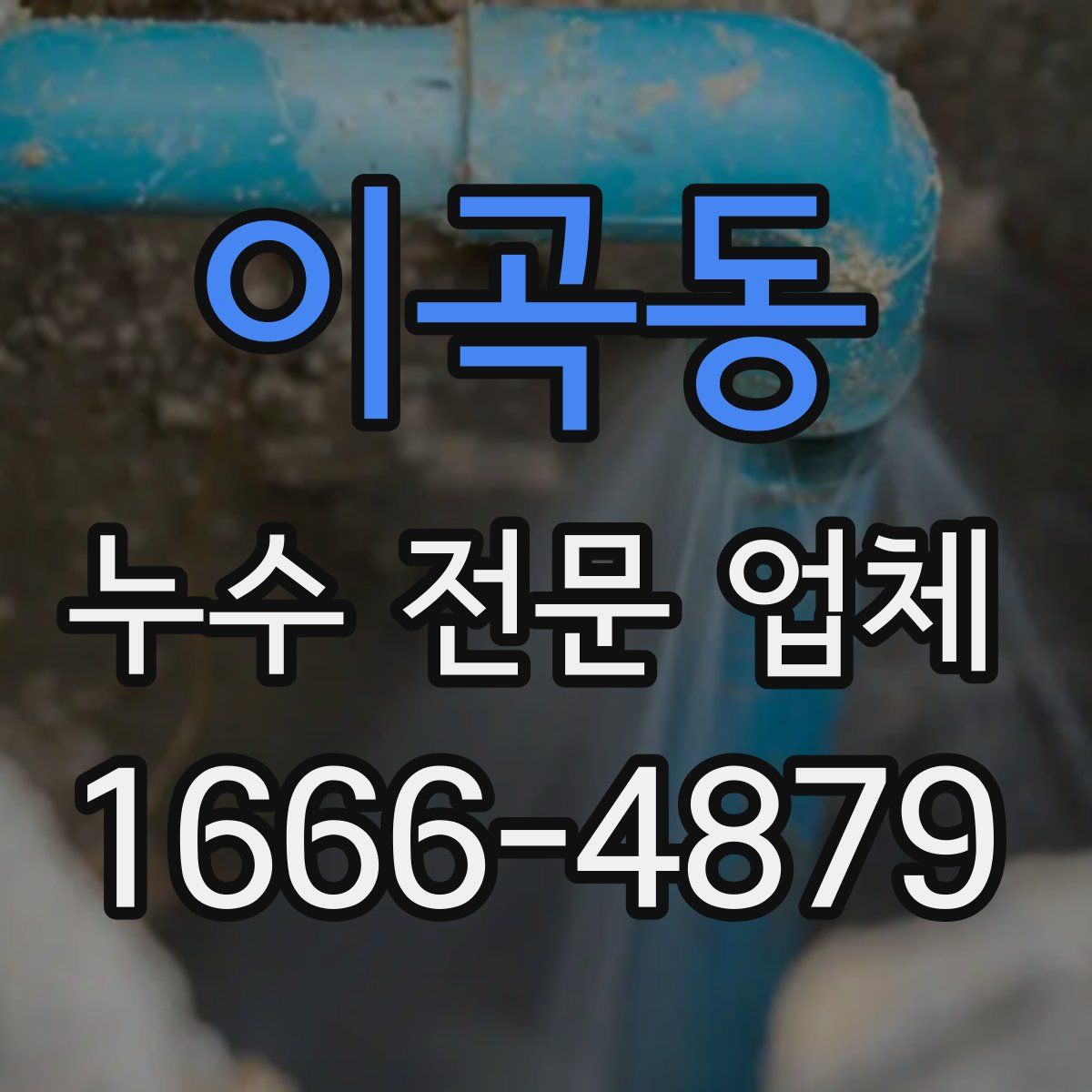 이곡동 누수 전문 업체