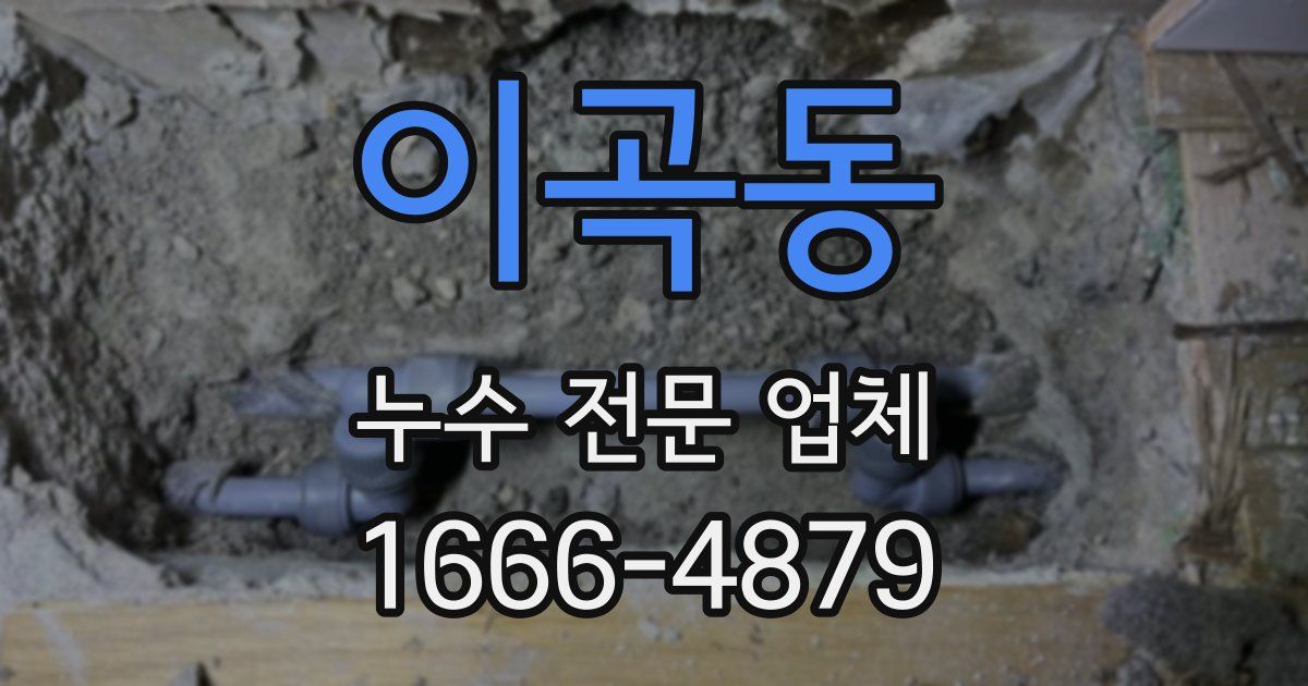 이곡동 누수 전문 업체