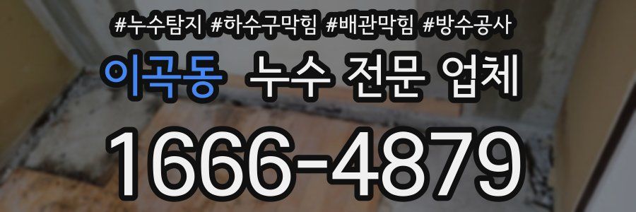 이곡동 누수 전문 업체