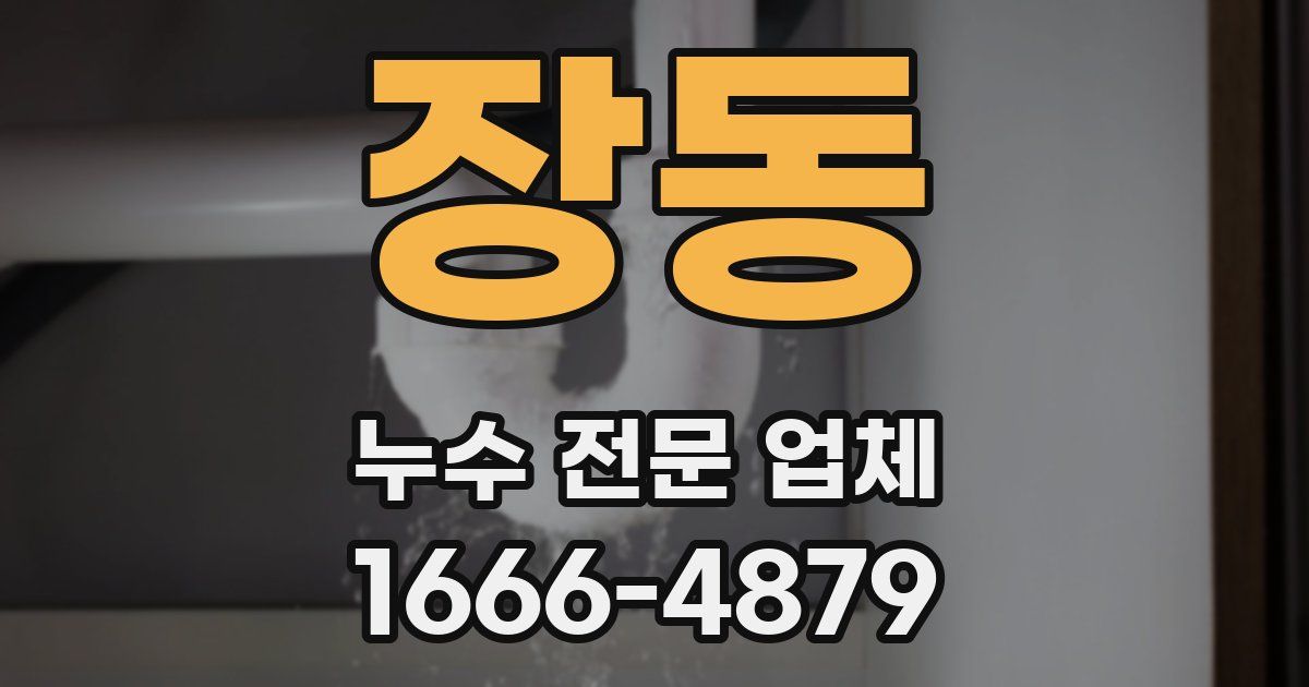 장동 누수 전문 업체