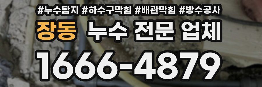 장동 누수 전문 업체