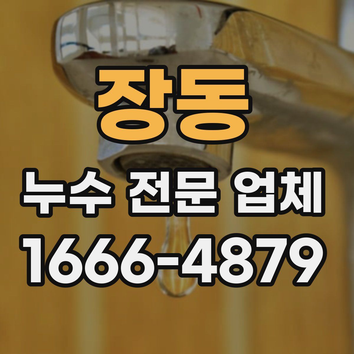 장동 누수 전문 업체