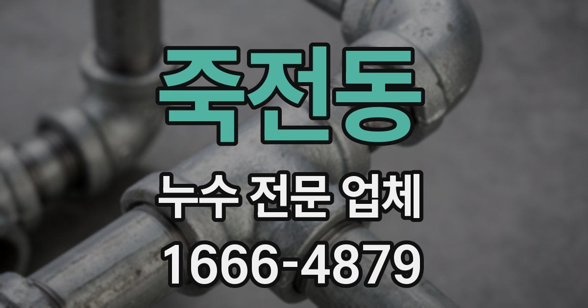 죽전동 누수 전문 업체