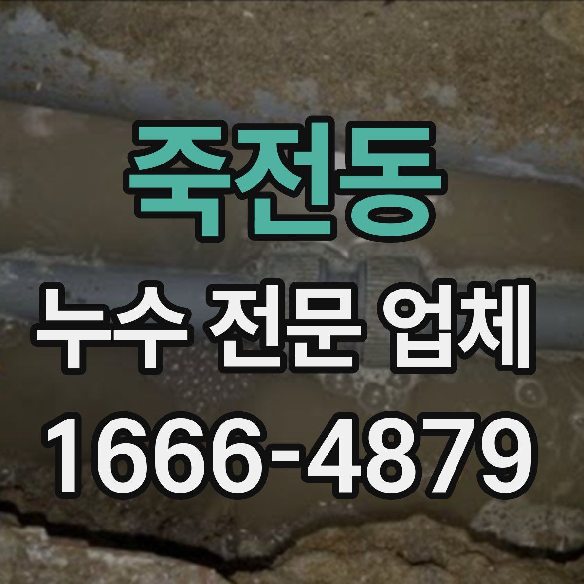 죽전동 누수 전문 업체