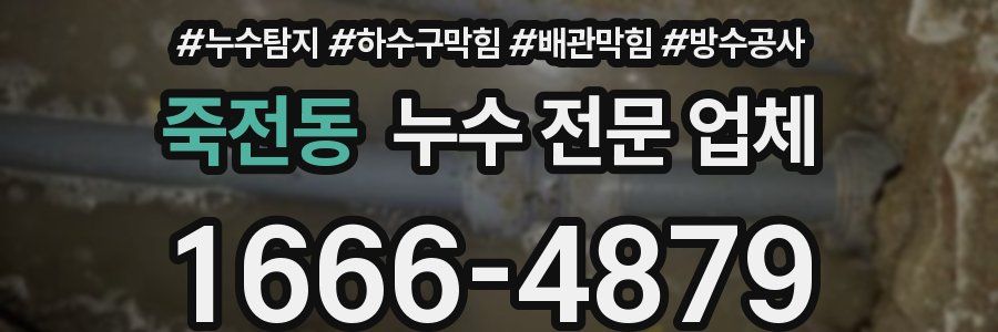 죽전동 누수 전문 업체