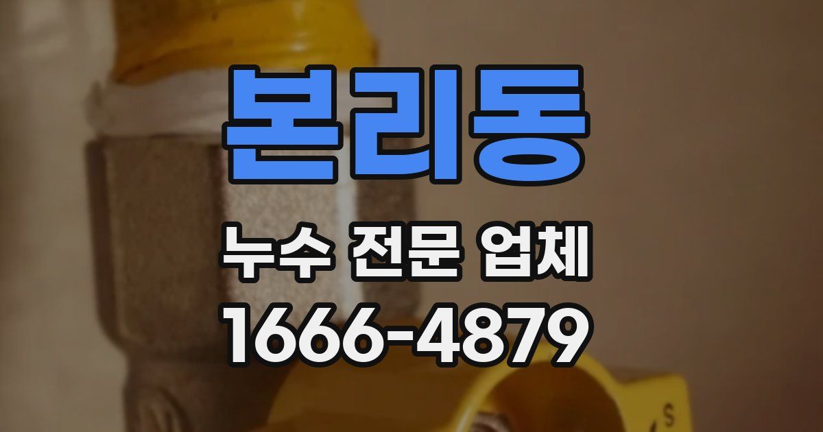 본리동 누수 전문 업체