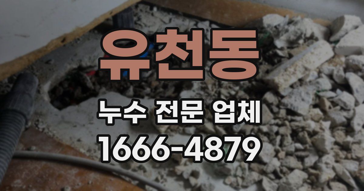 유천동 누수 전문 업체