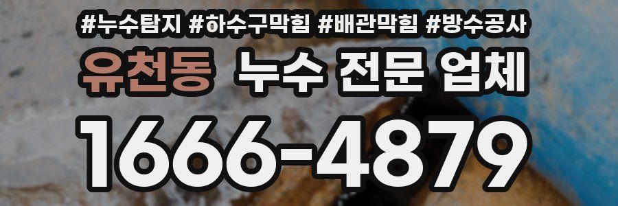 유천동 누수 전문 업체