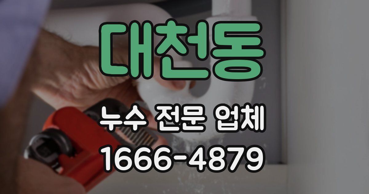 대천동 누수 전문 업체