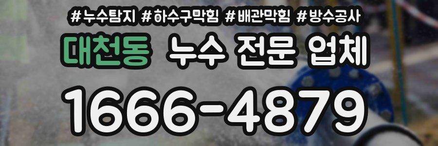 대천동 누수 전문 업체