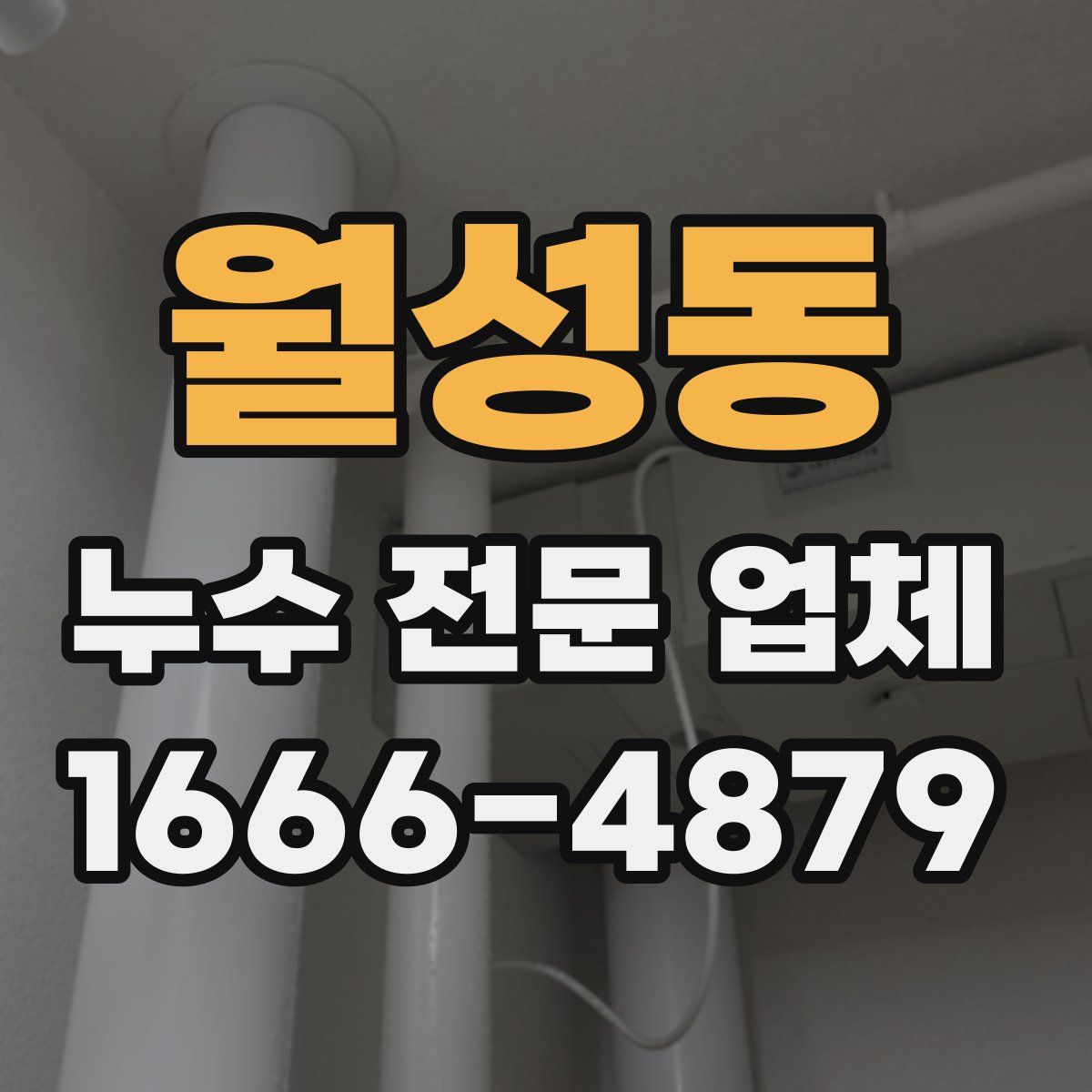 월성동 누수 전문 업체