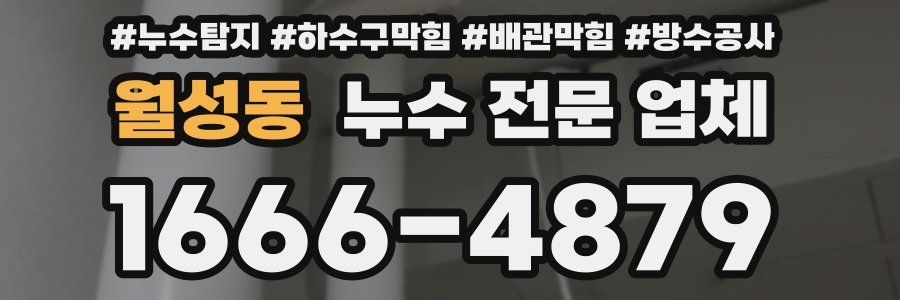 월성동 누수 전문 업체
