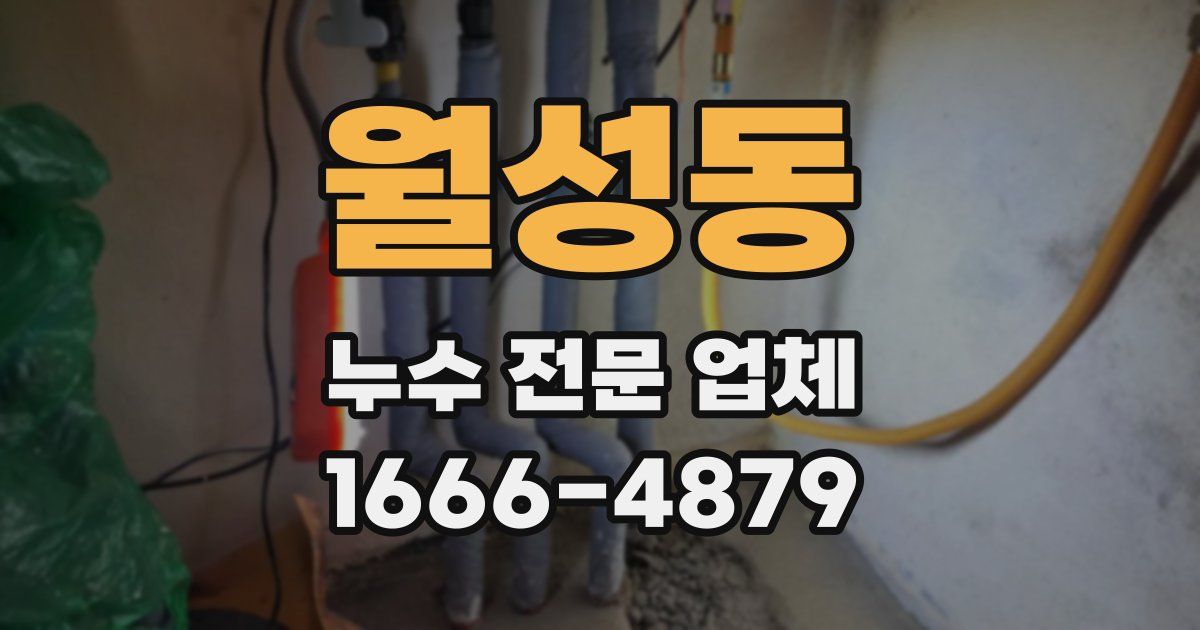 월성동 누수 전문 업체