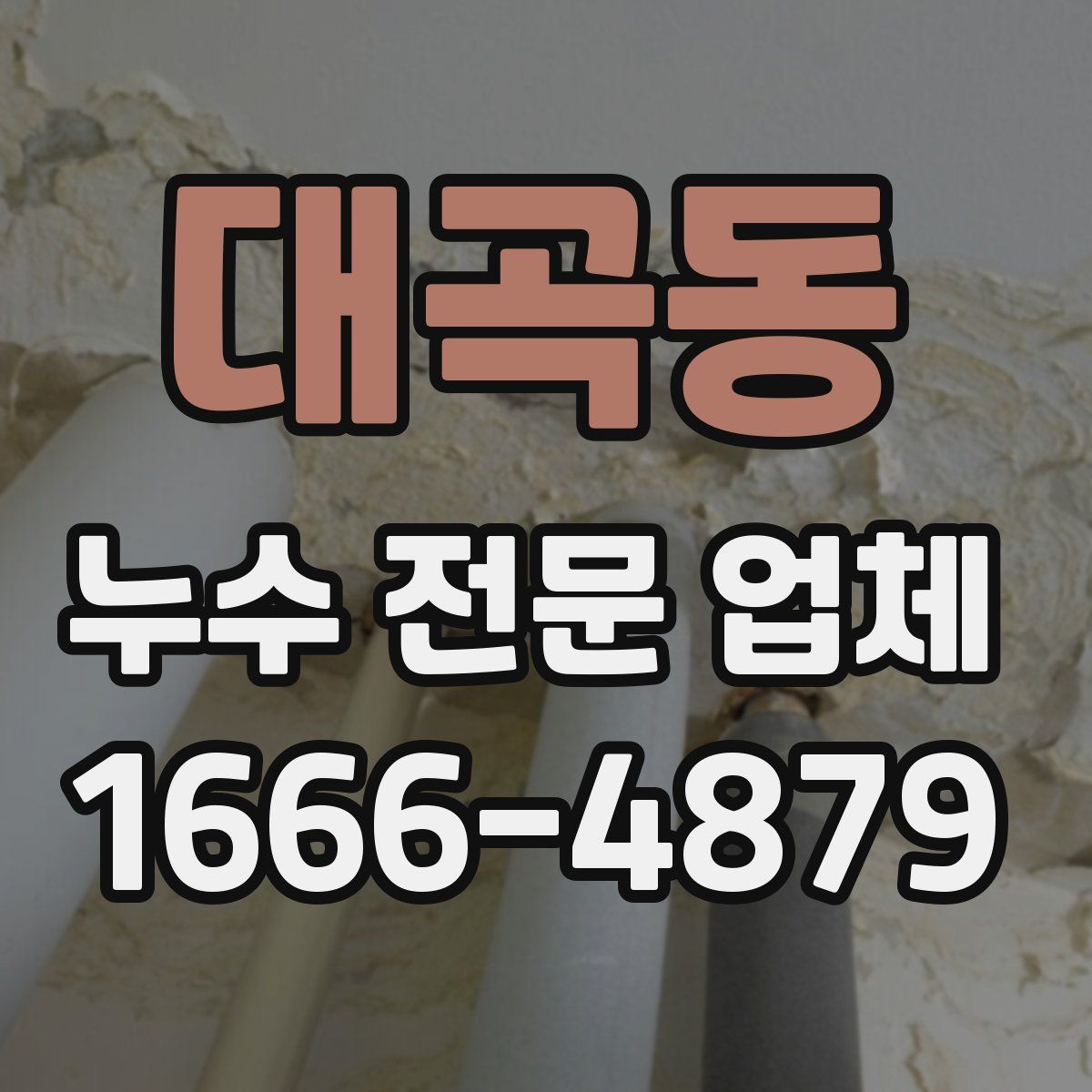 대곡동 누수 전문 업체