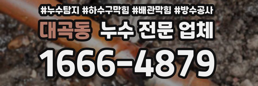 대곡동 누수 전문 업체