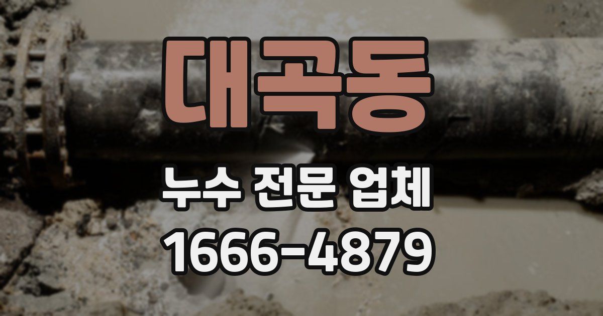 대곡동 누수 전문 업체