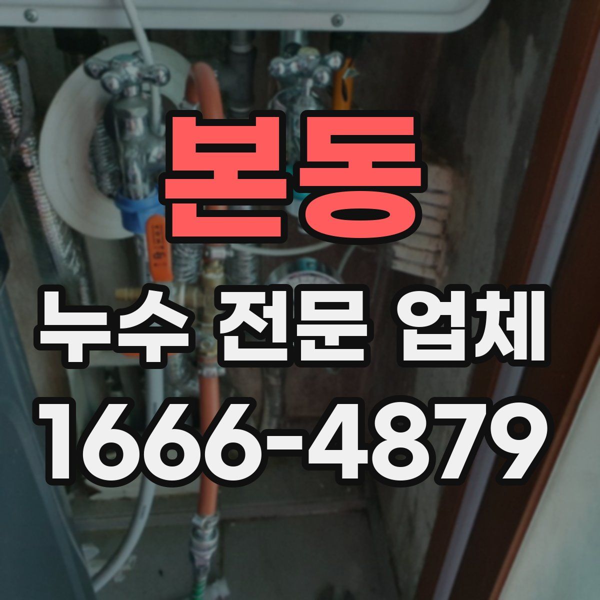 본동 누수 전문 업체