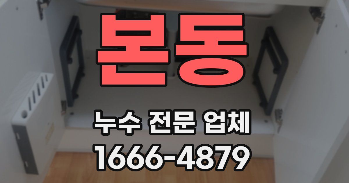 본동 누수 전문 업체