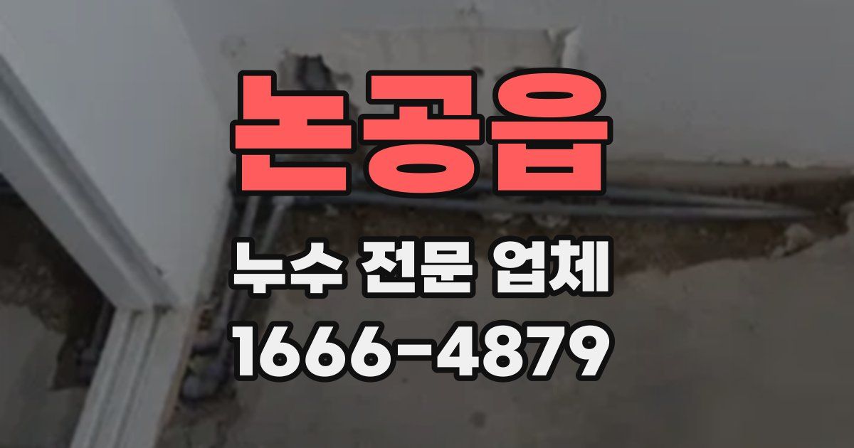 논공읍 누수 전문 업체