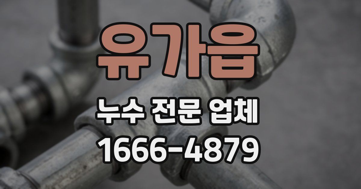 유가읍 누수 전문 업체
