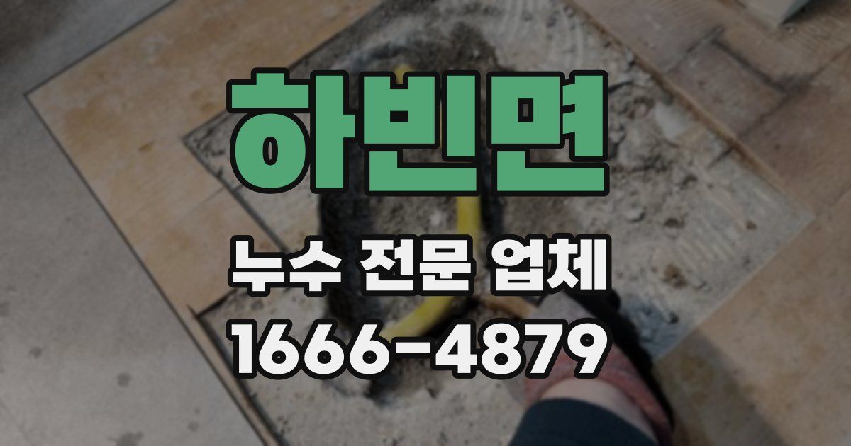 하빈면 누수 전문 업체