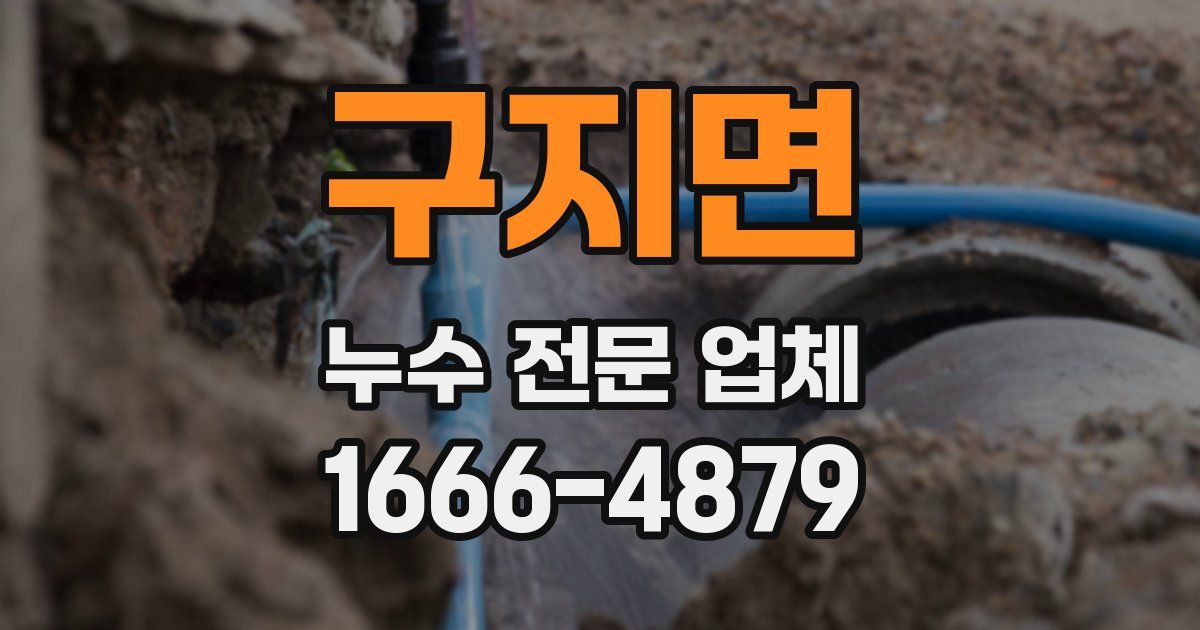 구지면 누수 전문 업체