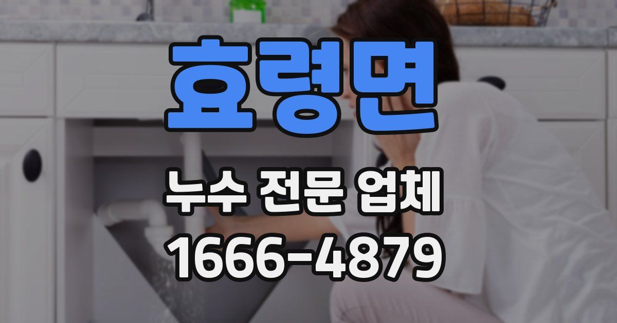 효령면 누수 전문 업체