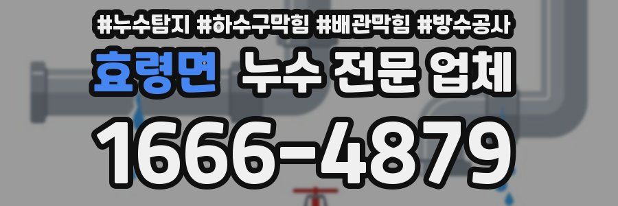 효령면 누수 전문 업체
