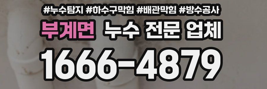 부계면 누수 전문 업체
