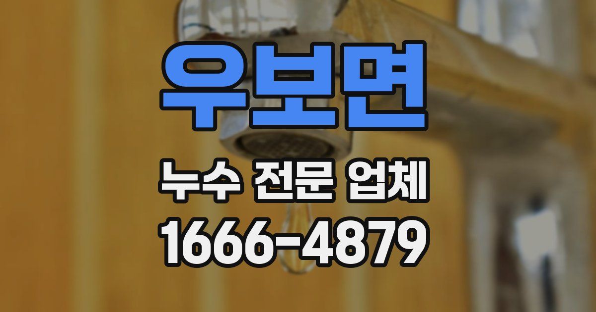 우보면 누수 전문 업체