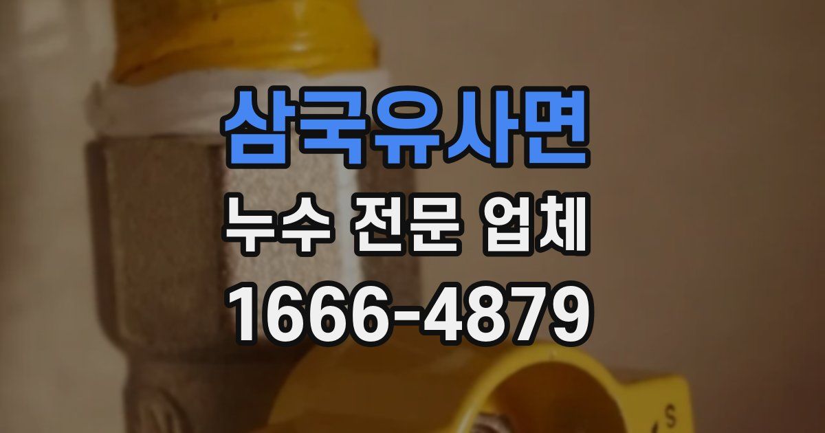 삼국유사면 누수 전문 업체