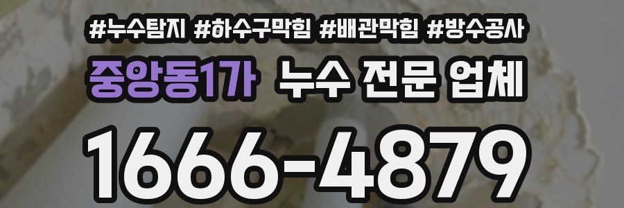 중앙동1가 누수 전문 업체