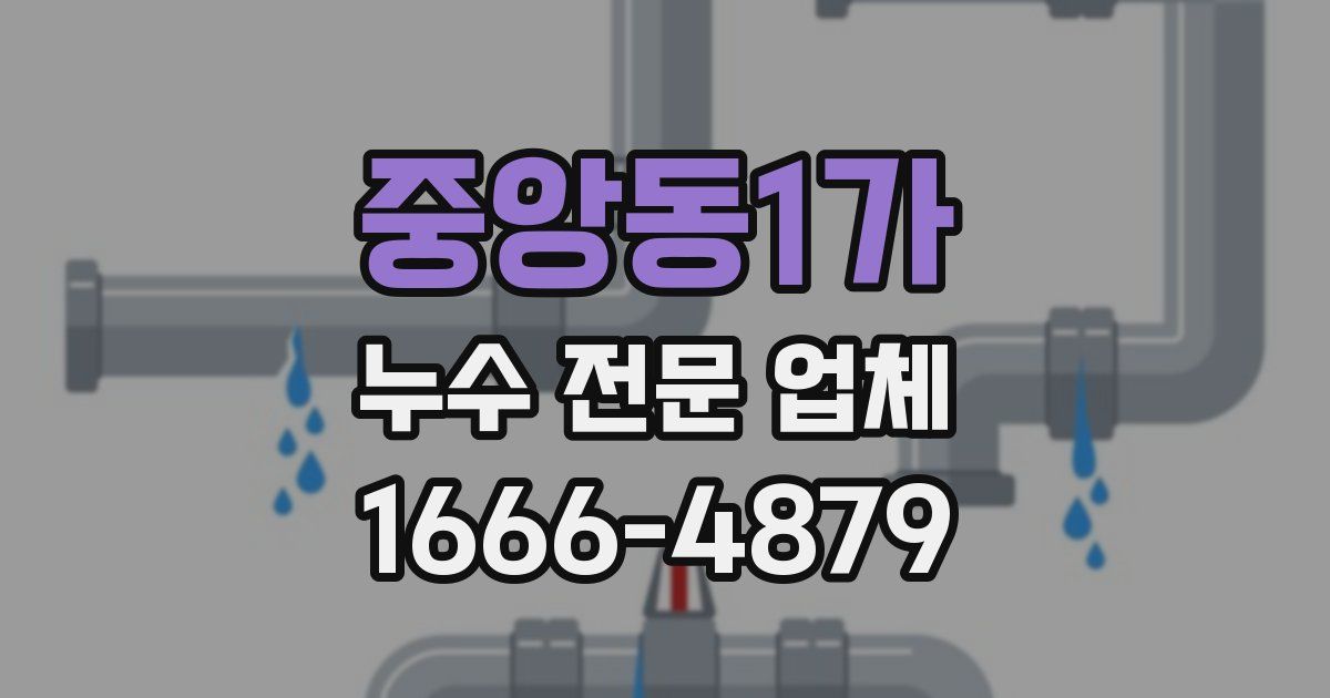 중앙동1가 누수 전문 업체