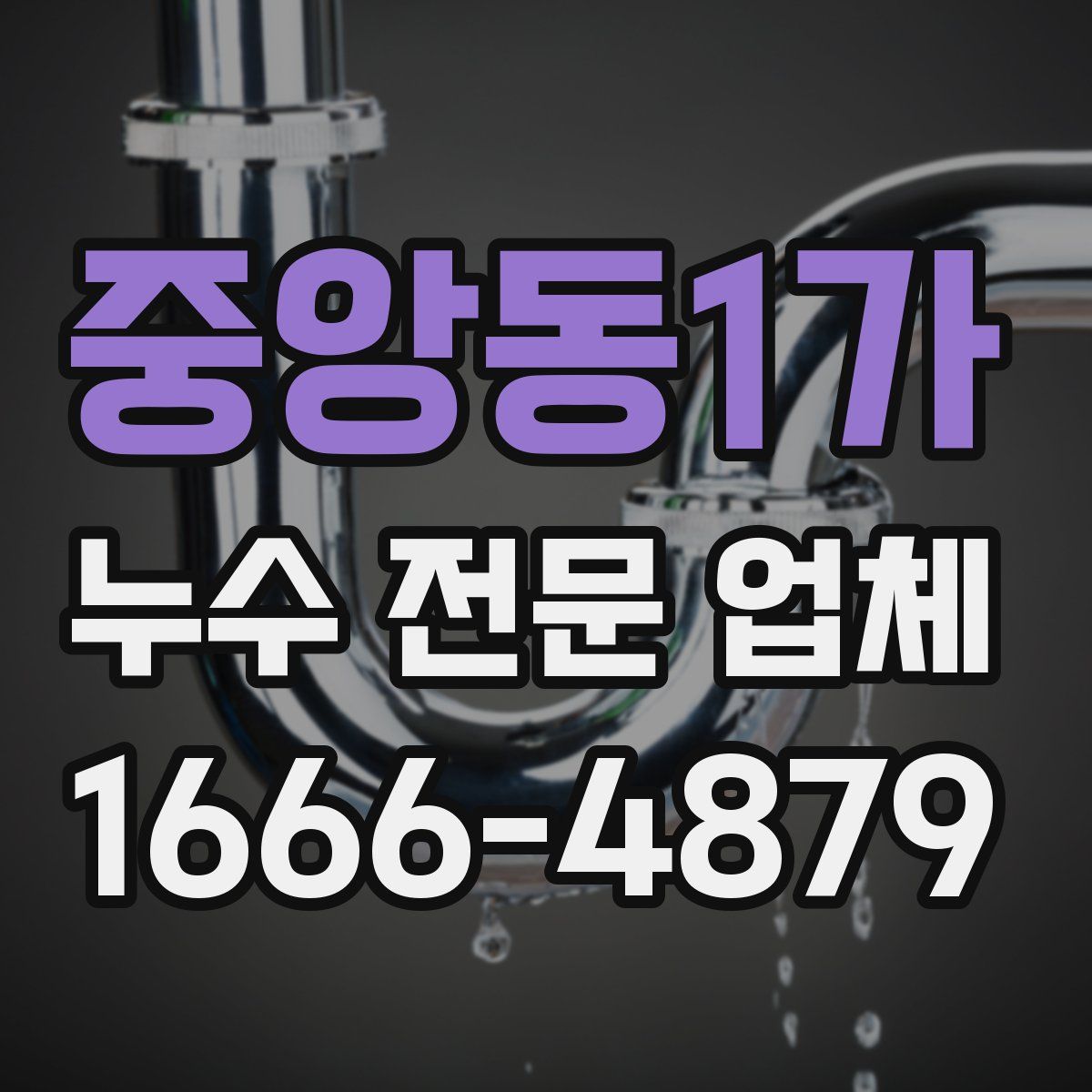 중앙동1가 누수 전문 업체