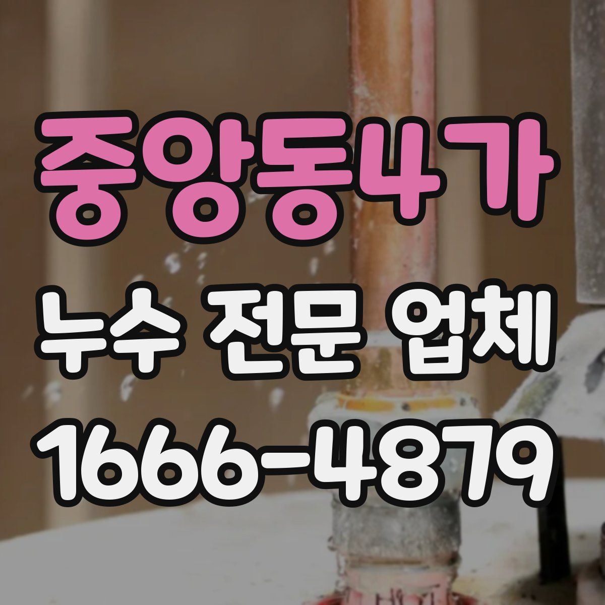 중앙동4가 누수 전문 업체