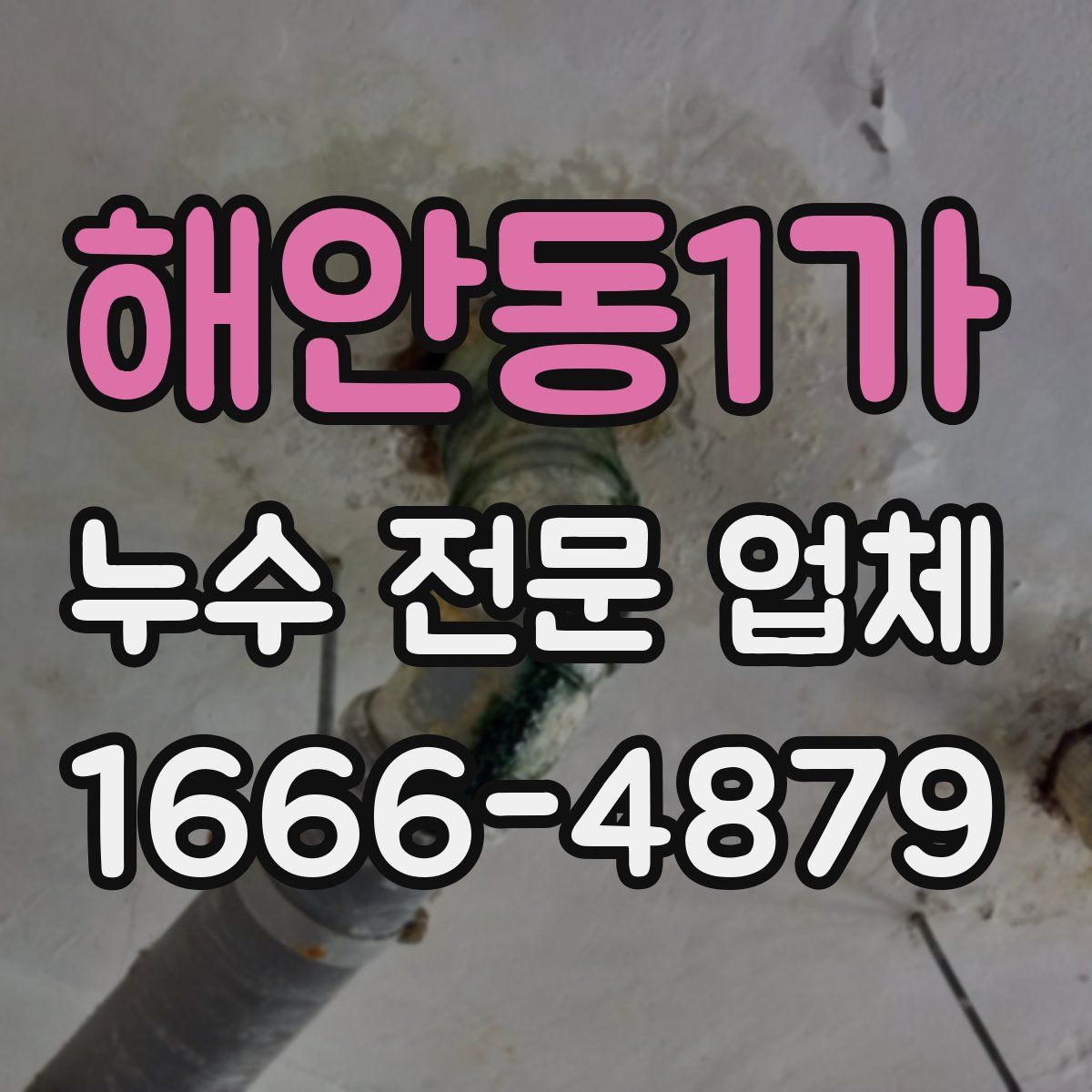 해안동1가 누수 전문 업체