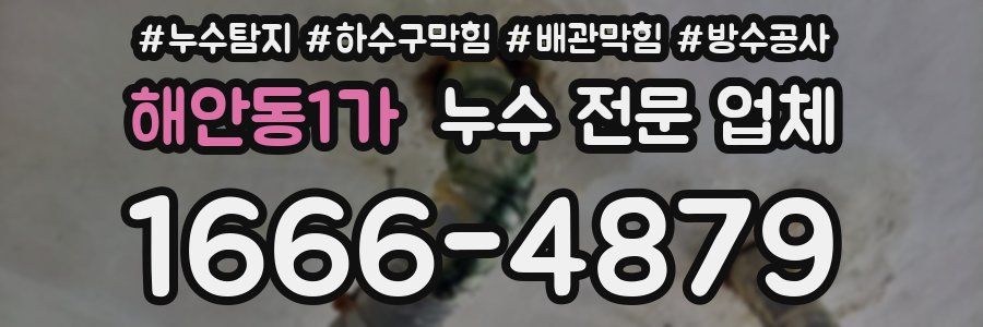 해안동1가 누수 전문 업체