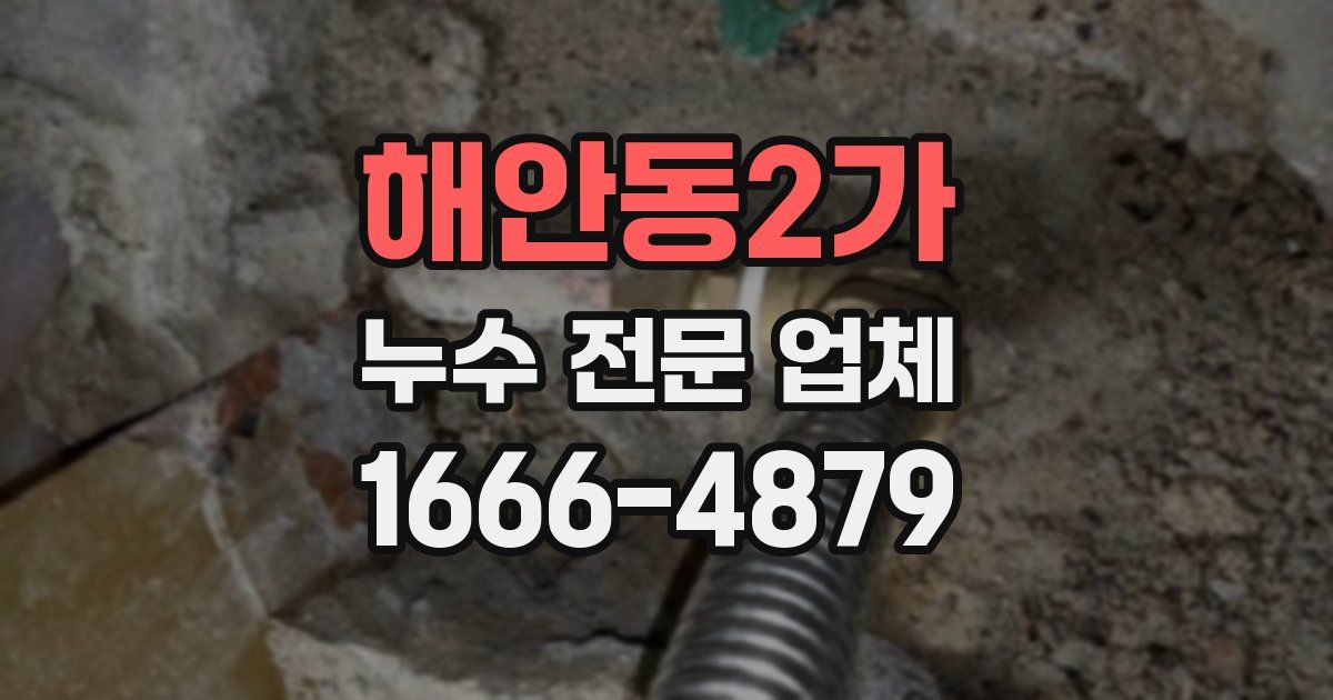 해안동2가 누수 전문 업체