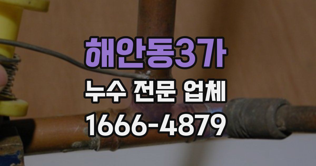 해안동3가 누수 전문 업체