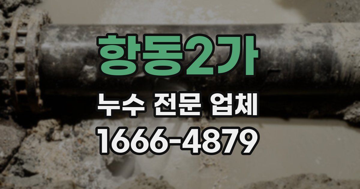 항동2가 누수 전문 업체