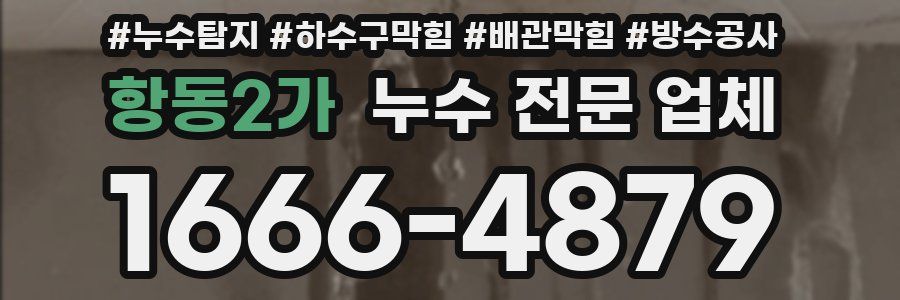 항동2가 누수 전문 업체