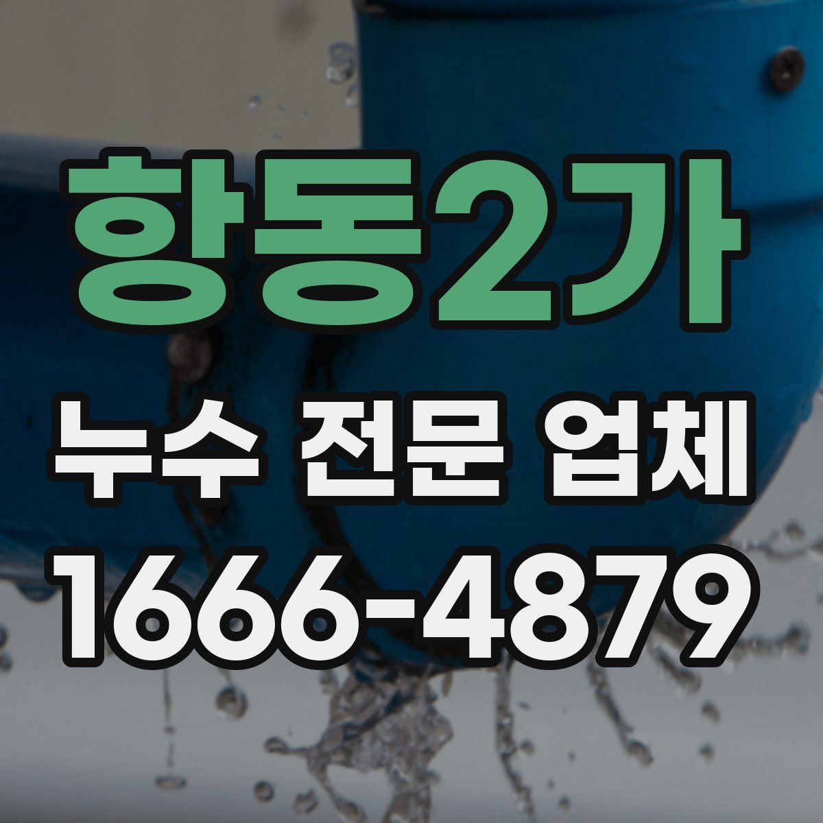 항동2가 누수 전문 업체